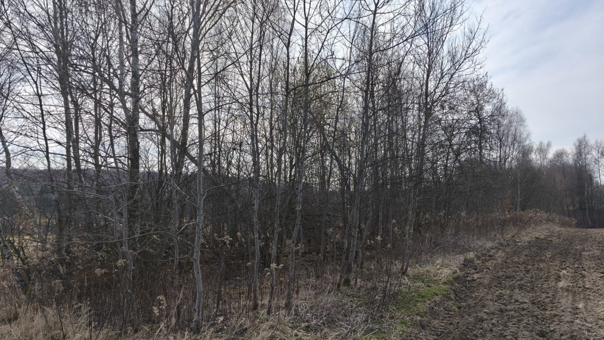 Działka na sprzedaż